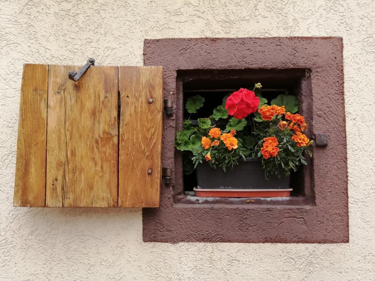 Gite Le Patio Kaysersberg-Vignoble Exteriör bild